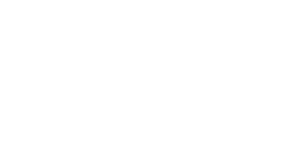 Logo white
