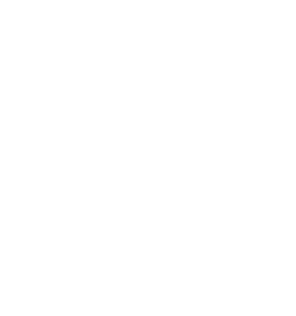 tramsporteeur icon dekozy