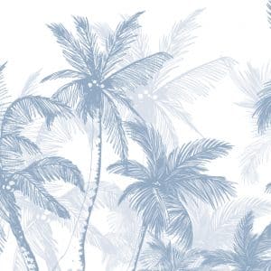 JU2018 2 COCOTIER 1