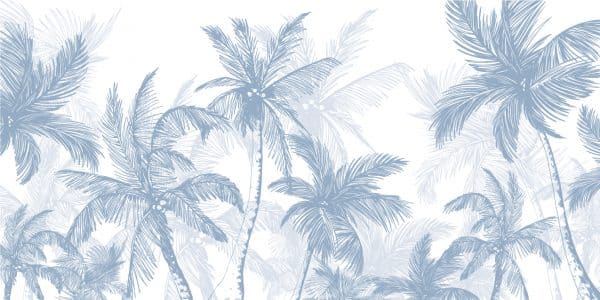 JU2018 2 COCOTIER 1