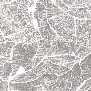 Landoni Cracks Light grey TXWF19644Landoni Cracks Light grey TXWF19644 TEX papier peint dekozy.fr  scaled