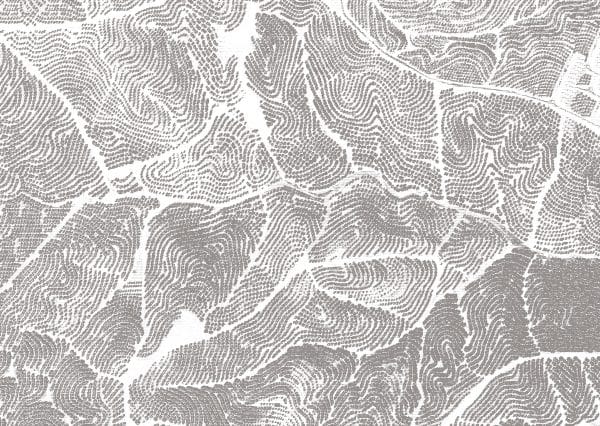 Landoni Cracks Light grey TXWF19644Landoni Cracks Light grey TXWF19644 TEX papier peint dekozy.fr  scaled