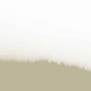 Landoni Fire Forest Beige TXWF19642 TEX papier peint dekozy.fr
