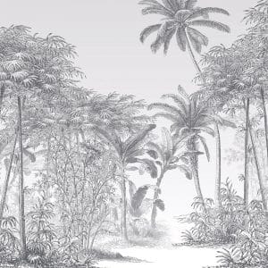 MANAUS MS1057 LGD01xDEKOZY