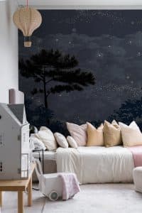 Le décor « Éclipse » évoque les mystères du ciel. Une vision nocturne et paisible travaillée avec minutie où les astres et les planètes communiquent « en clair-obscur » avec la nature. Une ambiance à la belle étoile, propice à l’évasion, à l’observation et qui nous embarque vers l’immensité de la voie lactée. Un travail de gravure et de couleurs réalisé par Isabelle Parmentier et Martine Dubreucq.