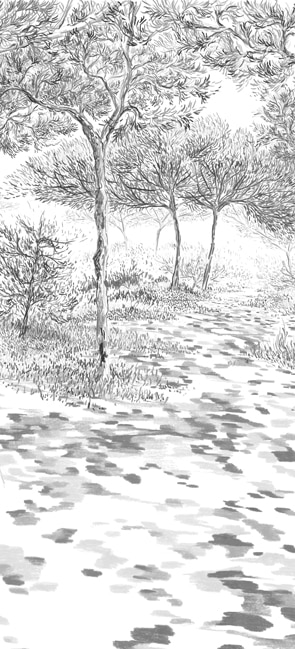 BALLADE SOUS LES PINS GRIS PANNEAU B L150 H330 IL papier peint dekozy.fr