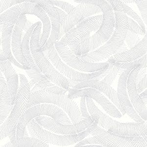 PLUME Anthracite IL papier peint dekozy.fr
